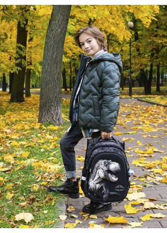 Набор школьный для мальчика рюкзак /SkyName R1-027 + мешок для обуви (фирменный пенал в подарок) Winner (291682928)