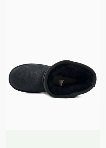 УГГ Міні Платформа Замша Міні Mini Platform Suede UGG (305413610)