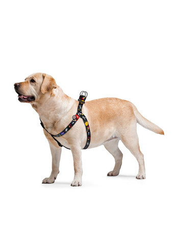 Шлея для собак анатомічна Nylon "NASA" пластиковий фастекс, Ш 20 мм, Д 5080 см WAUDOG (279565537)