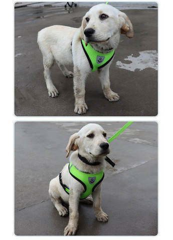 Шлейка для котов и кошек с поводком Pet Style "Сетка" Темнорозовая L No Brand - (323236179)