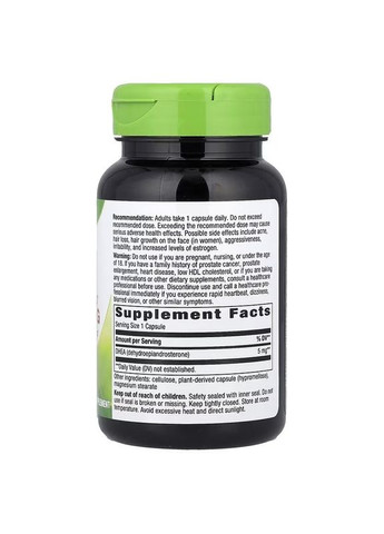 Дегидроэпиандростерон, 5 мг, DHEA, Youthful You,, 60 вегетарианских капсул Nature's Way (322741428)