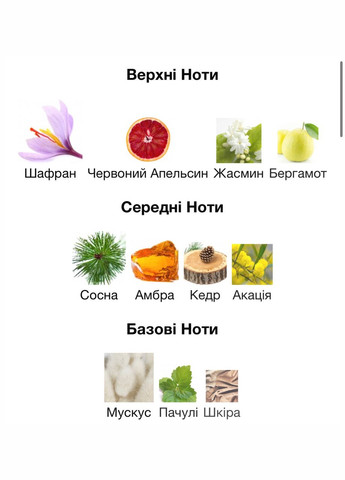 Парфюм Red Square EDP 100 мл Мужской Универсальный Древесный Восточный парфюм (8009) Richard (316093003)