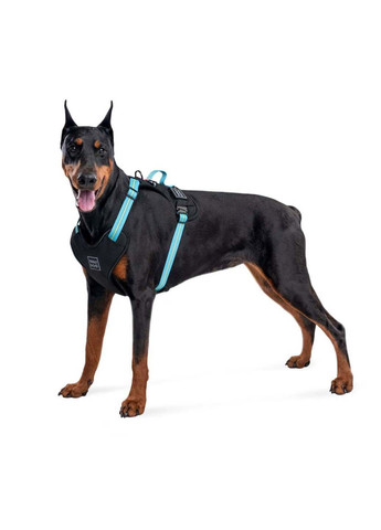 Шлея для собак безопасная Nylon Металлическая пряжка-фастекс M Ш 20 мм А 45-70 см В 60-80 см WAUDOG (292175465)