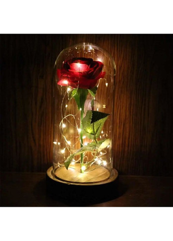 Троянда в колбі з LED підсвічуванням Digital (363833782)