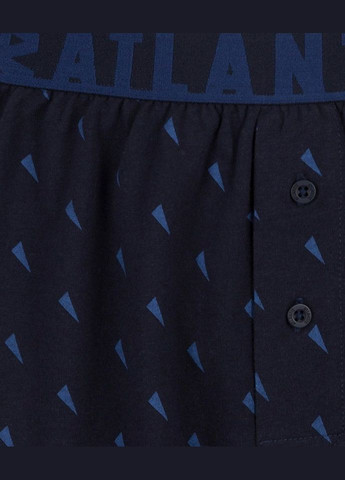 Чоловічі сімейні труси Atlantic (300160677)