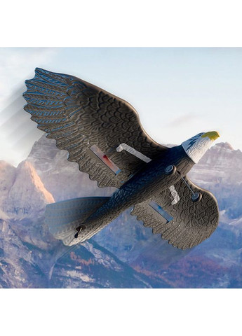 Літак-птица на радіокеруванні SCHE HW40 Eagle Black No Brand (351362683)