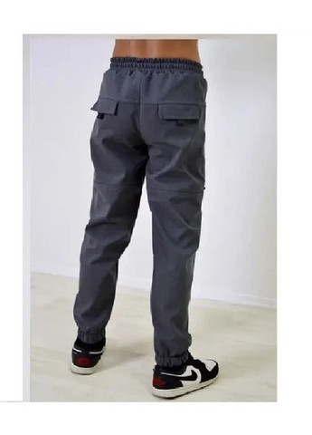 Темно-серые спортивные, повседневный зимние брюки джоггеры Polin Line