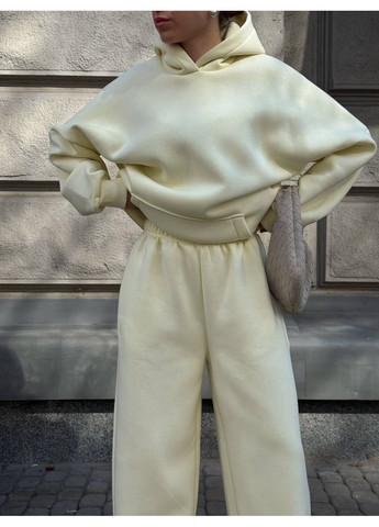 Спортивний костюм на флісі, не кошлатиться Україна (362980239)