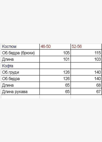 Женский спортивный костюм No Brand (324103709)
