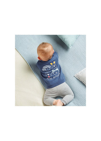 Толстовка двунитка для хлопчика LIDL 372601 062-68 см (2-6 міс.) темно-синій Lupilu (366199711)