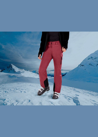 Горнолыжные брюки спорт сноуборд утепленные для женщины 363596 42(M) Crivit (264382257)