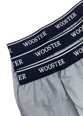 Комплект трусов Wooster (322081853)