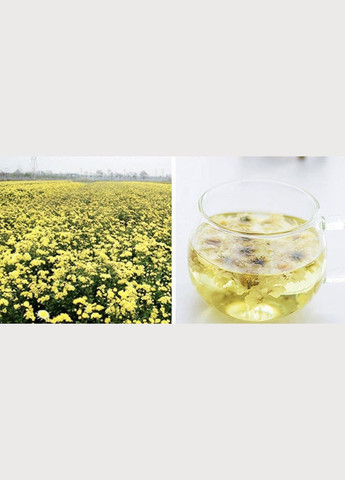 Чай Хризантема Біла Чаєман, вищий сорт липнева, сушені квіти 50 г No Brand (335868482)