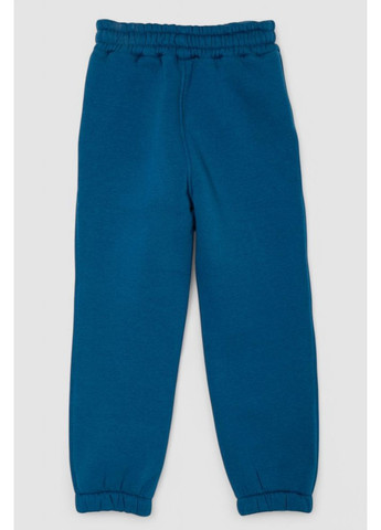 Спортивний костюм дитячий на флісі, 102R1520 Ager (362220712)