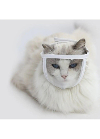 Відновний комір — прозорий конус Маска Розмір М 20-25 см. Xtep (320953348)