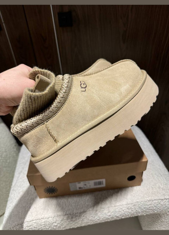 Tasman Platform Sock Угг Тазман с носком UGG (315411478)
