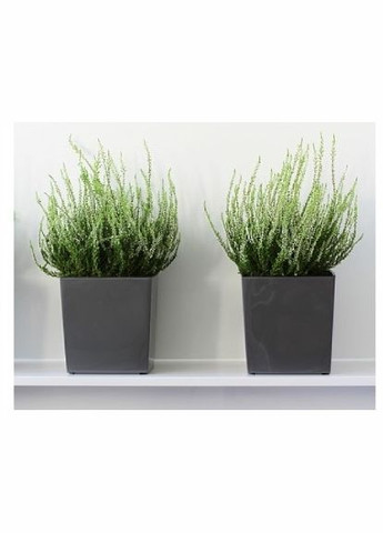 Кашпо 300x300 антрацит, пластик Lamela Юка (345726194)