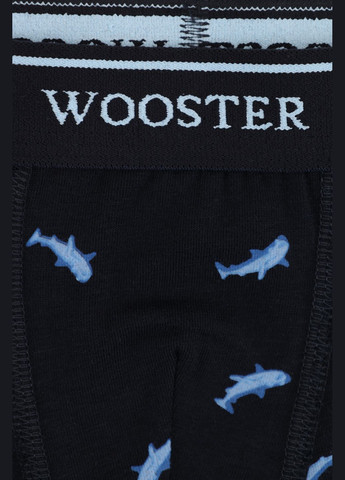 Трусы-боксеры для мальчика цвет темно-синий CB-00281048 Wooster (340717349)