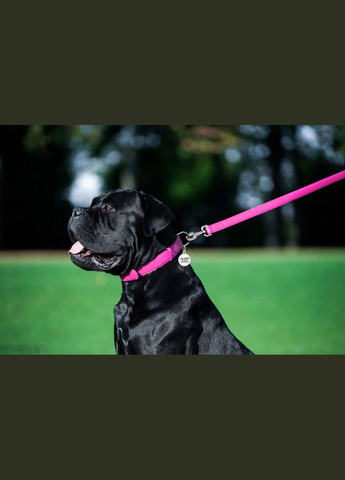 Поводок для собак кожаный Glamour, Ш 25 мм, Дл 122 см розовый WAUDOG (322125023)
