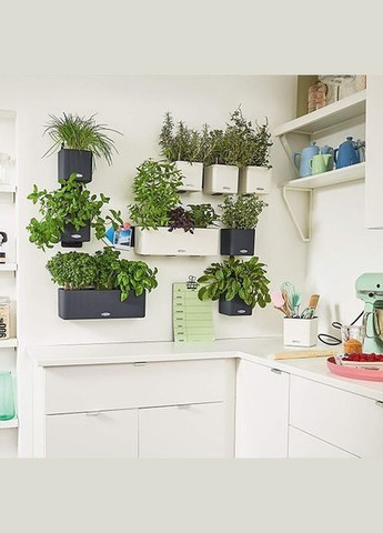 Комплект Green Wall Home Kit Color 48х6х14 см білий 13398 Lechuza (316626870)