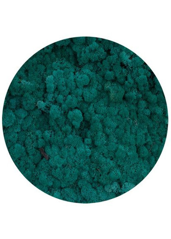 Очищенный стабилизированный мох ягель Изумрудный 50 грамм Nordic moss (276401195)