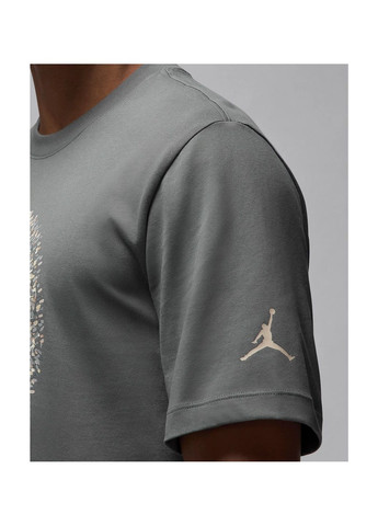 Сіра футболка чоловіча m j flt ess pool ss crew grey Air Jordan