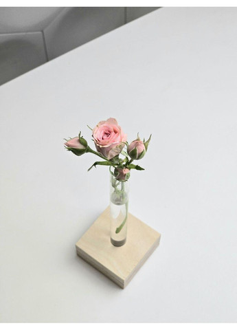 Декоративна ваза-підставка для квітів зі скляними пробірками Maysternya (348319098)