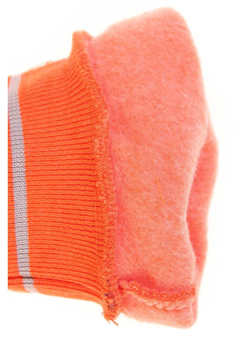 Оранжевые зимние брюки Cloise