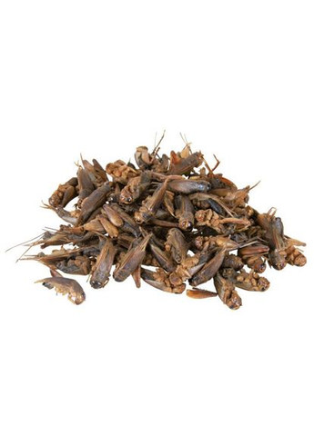 Лакомство для рептилий сверчки сушеные 25 г (*) Trixie (322592490)