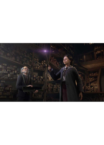 Гра Hogwarts Legacy для Sony 4 (PS4) PlayStation (307994332)