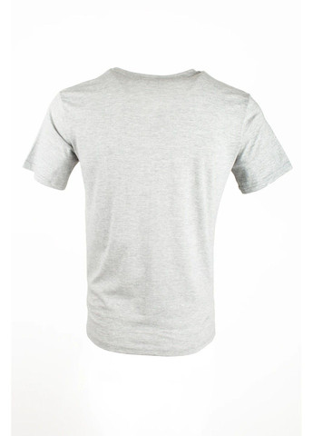 Серая мужская футболка new hampshire herren t-shirt No Brand