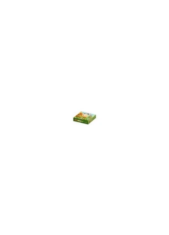 Развивающие пазлы 4 Сезона (15238) Puzzlika (367059908)
