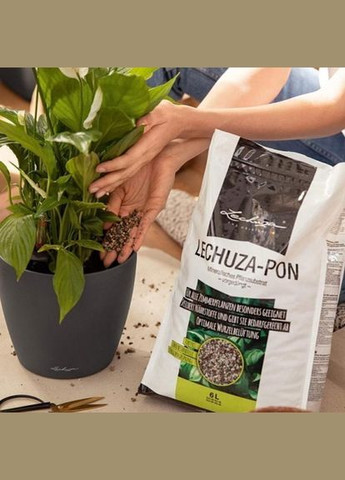 Субстрат PON 6 л 19561 Lechuza (316615776)