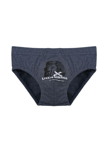 Набор (5 шт) трусов для мальчиков Donella 7624B2 (306709343)