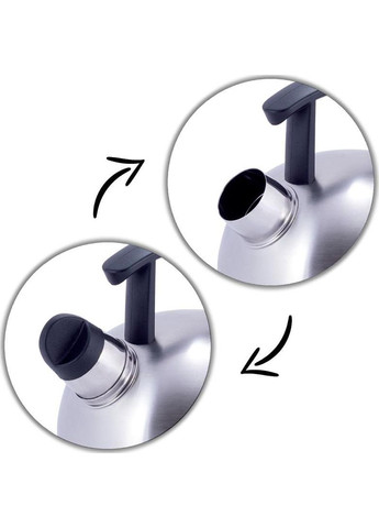 Чайник из нержавеющей стали 1,5л со свистком для чая и чаепития чайник для кипячения воды Kamille (368980841)