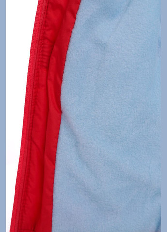 Красная зимняя куртка на синтепоне евро красная 98 см (27709) BABYKROHA