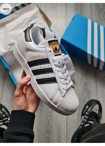 КРОСІВКИ ЖІНОЧІ ADIDAS SUPERSTAR АДІДАС СУПЕРСТАР No Brand комбіновані демісезони (368870403)