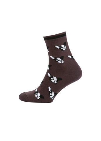 Коричневі набір (5 шт) жіночих шкарпеток Siela (302517249)