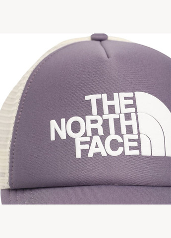 Кепка The North Face (286846230)
