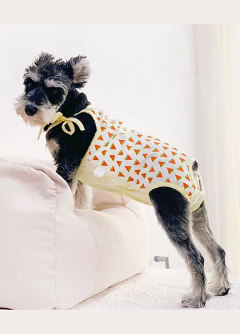 Трусы - боди гигиенические для собак с принтом арбуз XL No Brand (299840023)