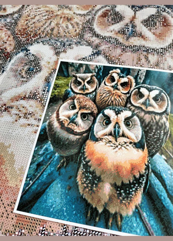 Набір алмазної мозаїки НА підрамнику АЛМр-224 "Сови Селфі", 40*50см АлМазка (335056485)