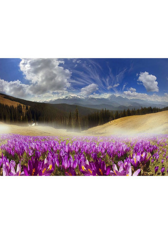 Календар настінний квартальний на 2026 рік Природа України/ Карпати Apriori (368561376)