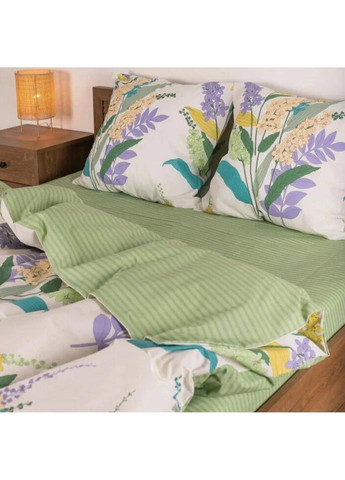 Постільна білизна євро Ранфорс 23224-E 220х200 см Viluta (336327995)