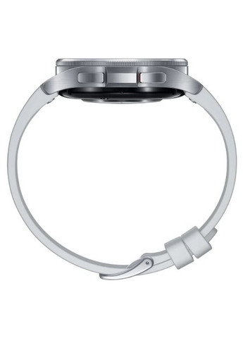 Смарт часы Galaxy Watch 6 Classic 43mm Silver (SMR950NZSASEK) Samsung (278366000)