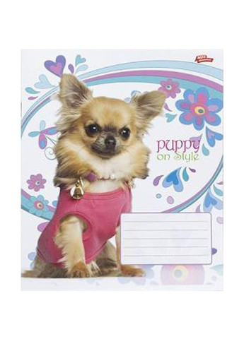 Тетрадь цветная 12 листов, клетка (20 штук в упаковке) Мечты Сбываются (3506) Мрії Збуваються (362438597)