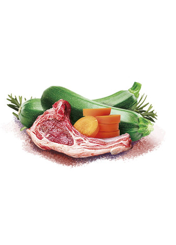 Корм влажный Brit Mono Protein Christmas Lamb для собак рождественский ужин ягненок 400 г Brit Care (364653345)