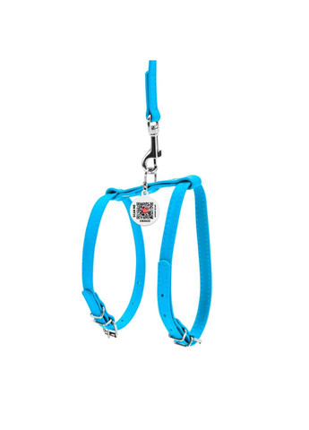 Шлея з повідцем для собак шкіряний Glamour Ш 12 мм А 25-33 см В 35-43 см WAUDOG (292175108)