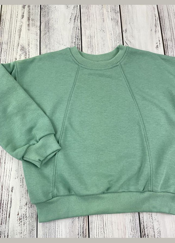 Світшот дитячий Фламинго (305391630)