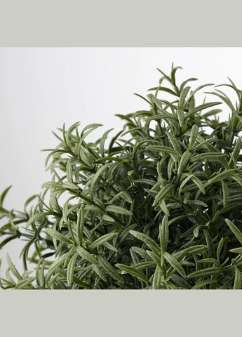 Штучна рослина в горщику ІКЕА FEJKA 9 см розмарин (90382113) IKEA (271120654)