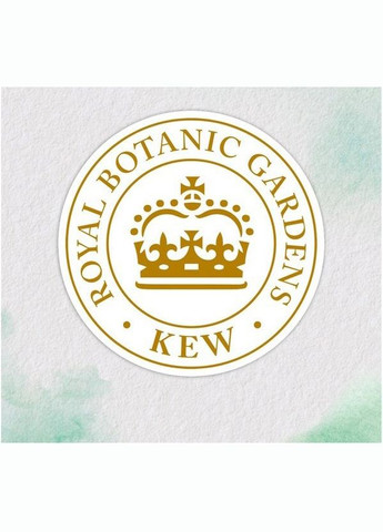 Шампунь Аромат апельсину, 350 мл HERBAL ESSENCES 8700216210713 (328396733)